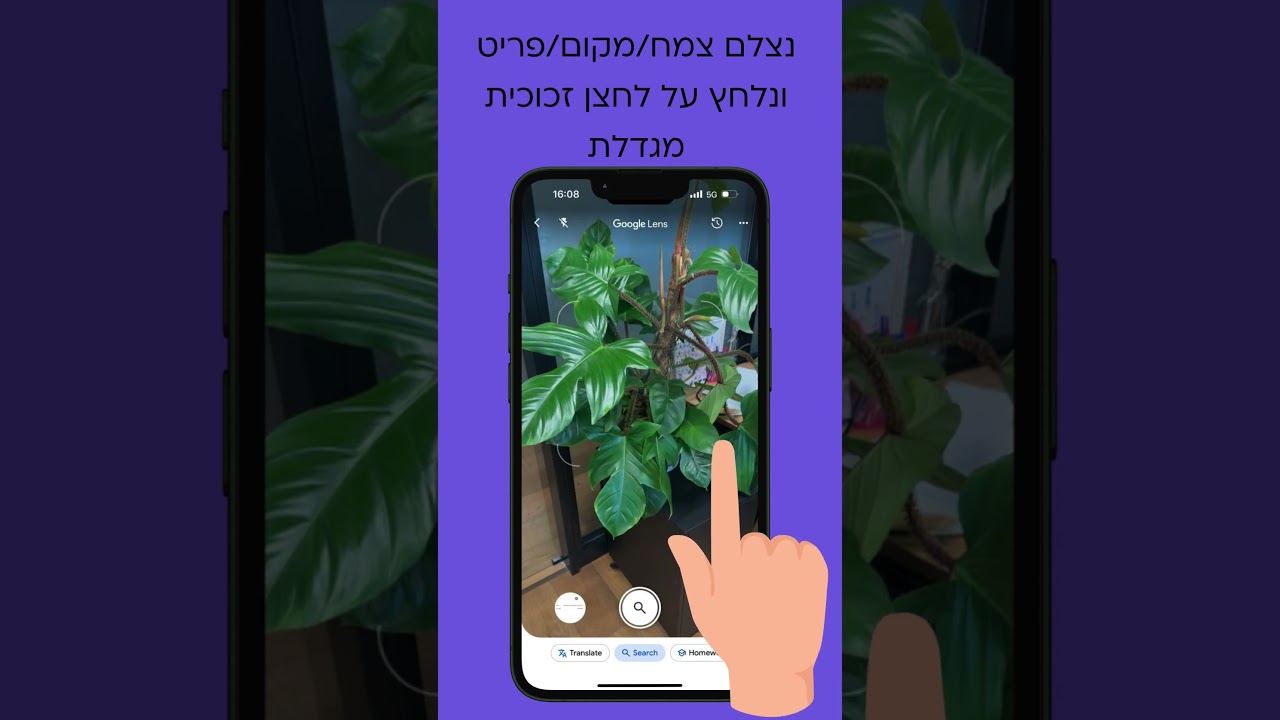 טיפ שבועי - איך להשתמש ב-Google Lens כדי לזהות צמחים, חיות ומקומות?